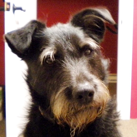 Meet your Posher, Christine - Picture 6 of 10